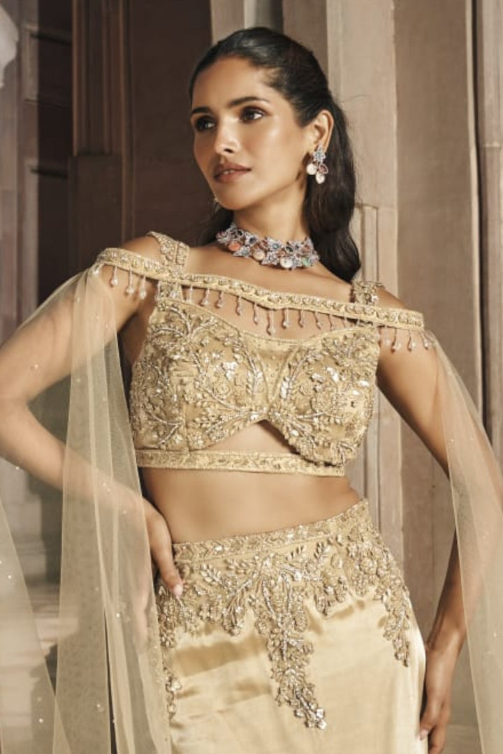 Regal Glamour in Fish Cut Lehenga